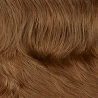 12AH Golden Brown with Light Auburn HL