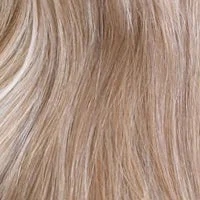 25 Gold Blonde with Creamy Blonde Highlights