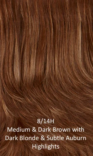 8/14H -  Medium & dark brown with dark blonde & subtle auburn highlights